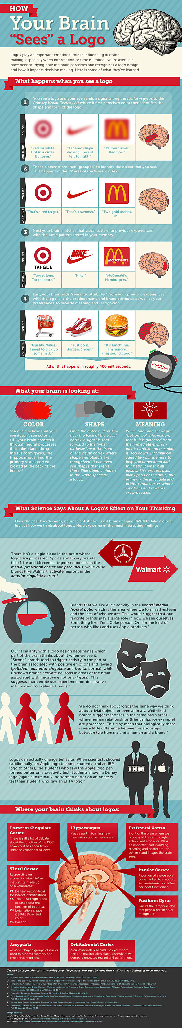 Infographic on how your brain breaks down a logo